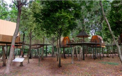 Tokajské domčeky v korunách stromov s wellness