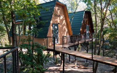 Tokajské domčeky v korunách stromov – Unikátne ubytovanie v korunách stromov s wellness v Tokajskej oblasti