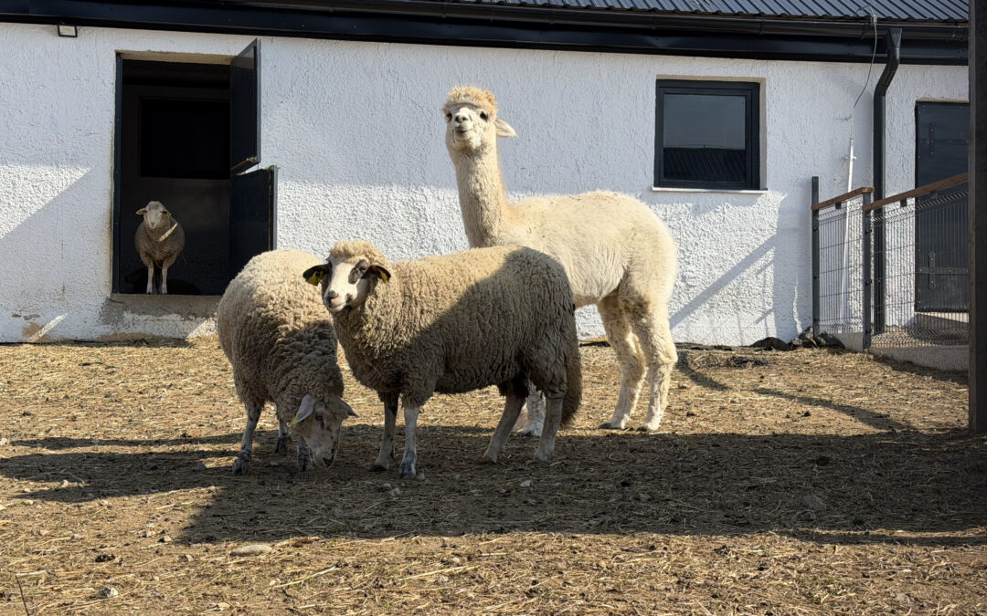 27. MAREC 2026 – Slávnostné otvorenie projektu – Farmársky zážitok na BIOFARME Zlatý Hýľ