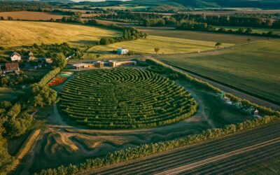 OTVORENIE PROJEKTU: Umenie, v ktorom sa radi stratíte: V Brehove otvorili obrovské živé vŕbové bludisko Willkov park